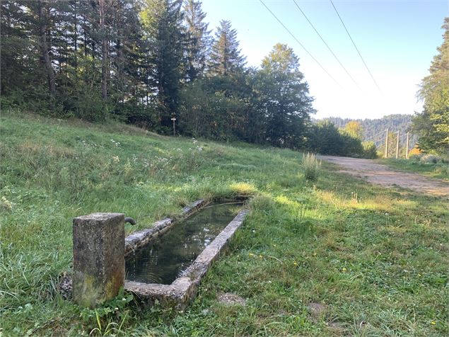 Le grand tour du plateau de Chamoise - Maxime Michel