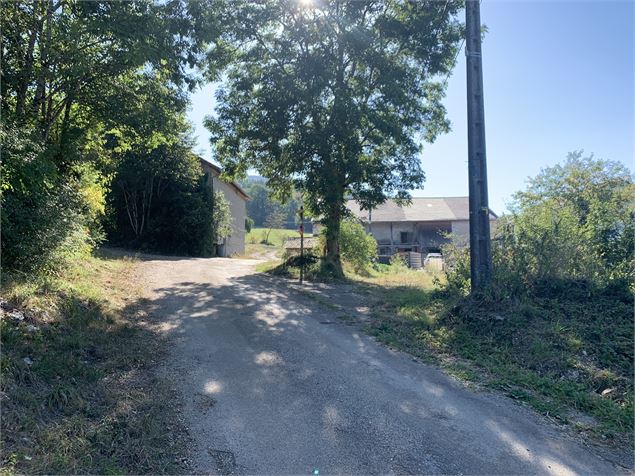 Le grand tour du plateau de Chamoise - Maxime Michel