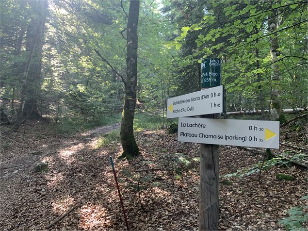 Le grand tour du plateau de Chamoise - Maxime Michel