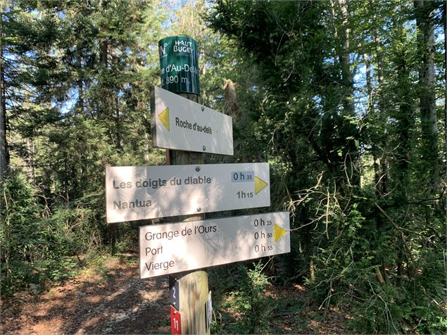 Le grand tour du plateau de Chamoise - Maxime Michel