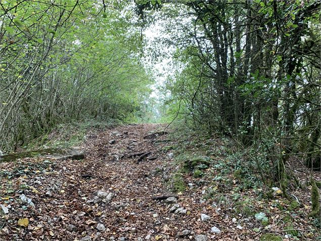 La chapelle des Chasseurs - Maxime Michel