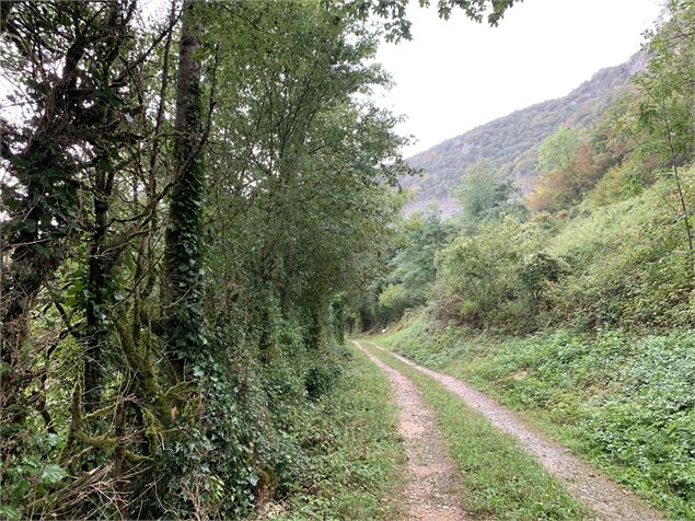 La chapelle des Chasseurs - Maxime Michel
