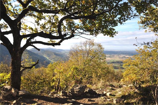 Château et chapelle de Montfort