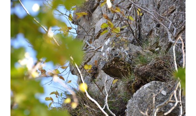 Château et chapelle de Montfort