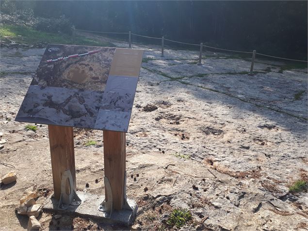 Les empreintes de dinosaures de Villette - png