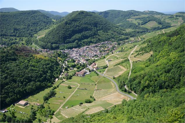 Panorama depuis la vieille église de Saint-Alban - JRG