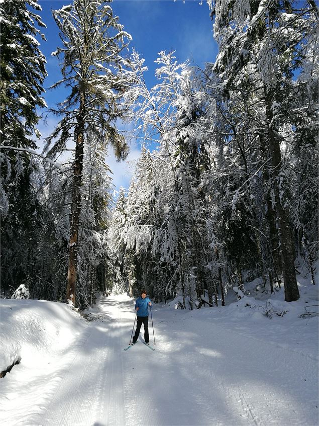 Ski de fond à Giron - ©Daniel Gillet