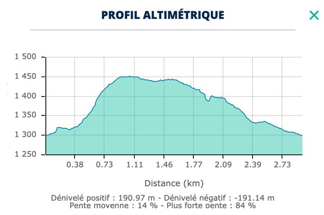 Tour du bois de l'église de Peisey - Office de tourisme de Peisey-Vallandry