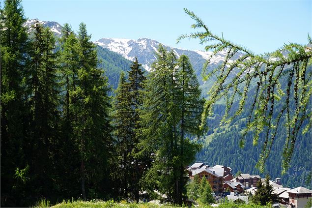 vue depuis le chemin de Barmont - M.Suret OT Peisey-Vallandry