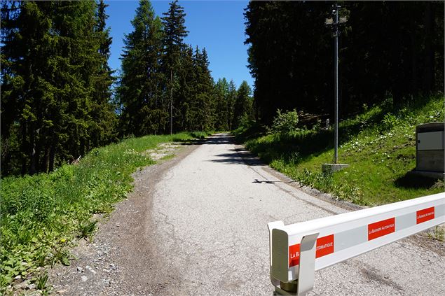 chemin de Barmont - M.Suret OT Peisey-Vallandry