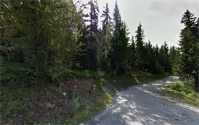 Plan-Peisey/Bergerie du Rey - OT Peisey-Vallandry