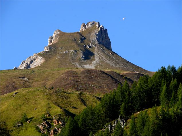 aiguille rousse - mnpc
