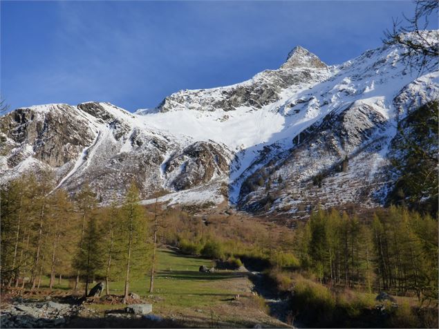 La Guraz - Sahra Ronc