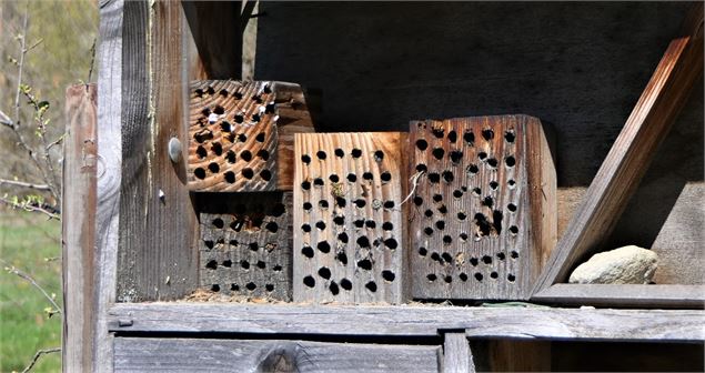 Le Verger de la Balastière - MNPC