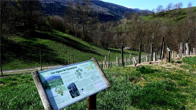 Le Verger de la Balastière - MNPC