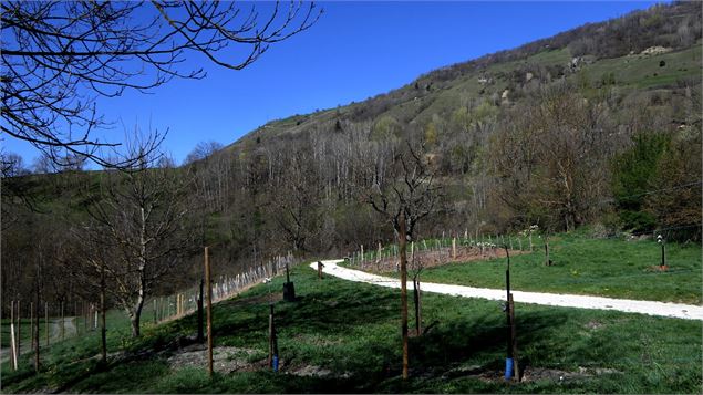 Le Verger de la Balastière - MNPC