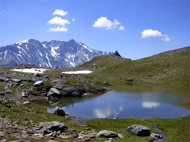 Lac des Moutons - Grand Col - mnpc