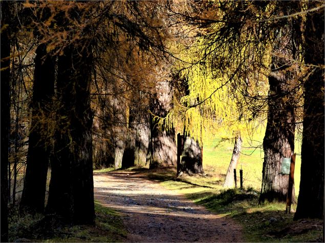 Sentier muséo du palais de la mine - MNPC