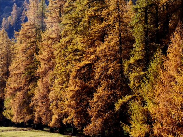 Sentier muséo du palais de la mine - MNPC