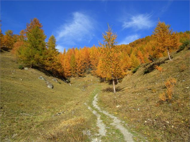 Combe du Barmail - mnpc