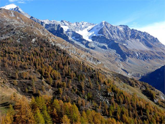 bois du Barmail - mnpc