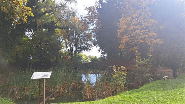 Etang - C.Rampon
