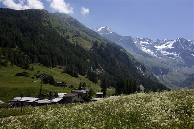 Vue été - M.Suret OT Peisey-Vallandry