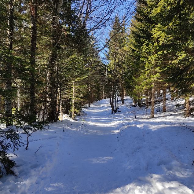 balcons du lac - L.MARTIN