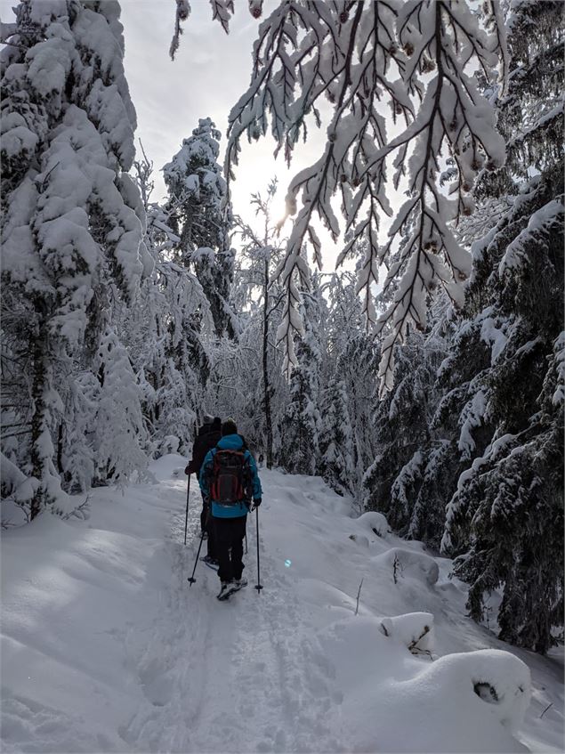 Randonnée raquettes - ©Marie Jacques