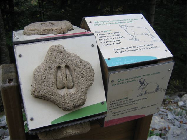 Le Vallon de Bellevaux - K.Mandray