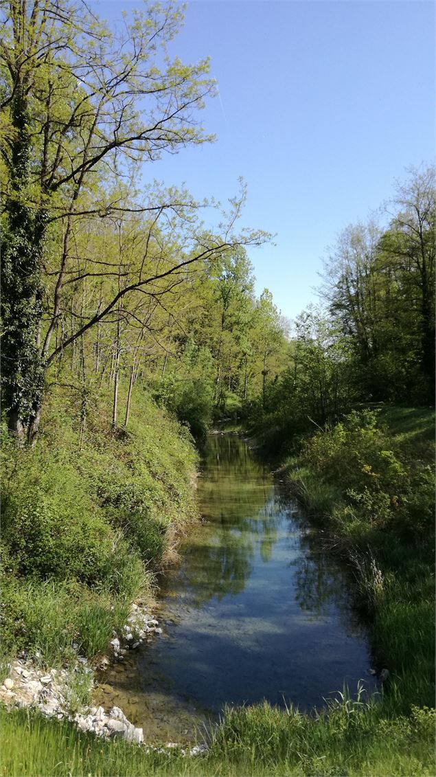 Sentier des lônes et îles du Haut-Rhône_Brégnier-Cordon - OTBSGC