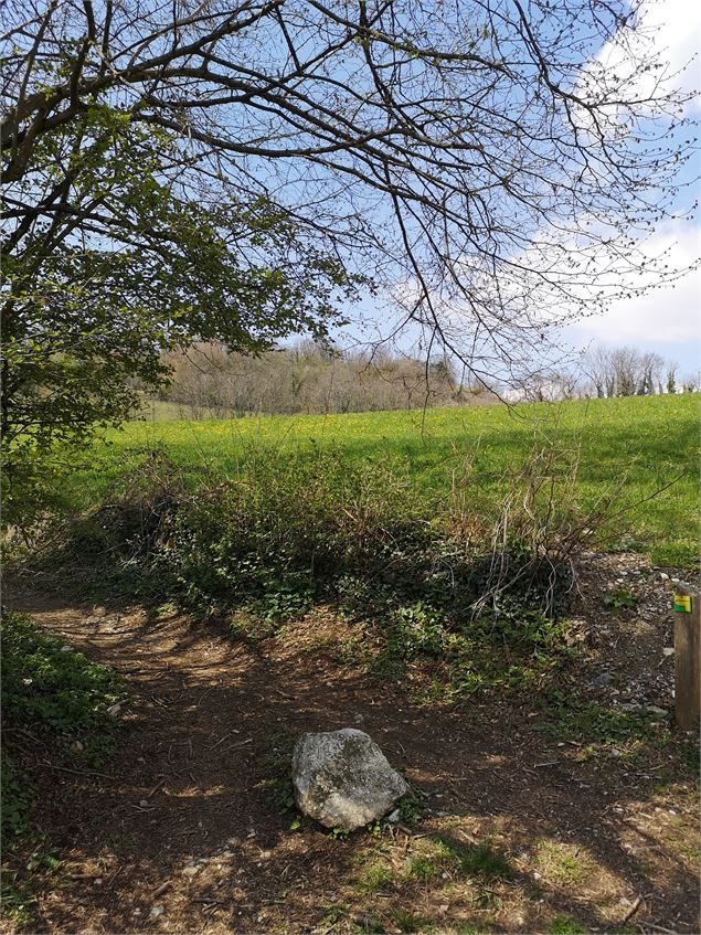 Les pelouses sèches du Mont Saint Michel - Grand Chambéry Alpes Tourisme