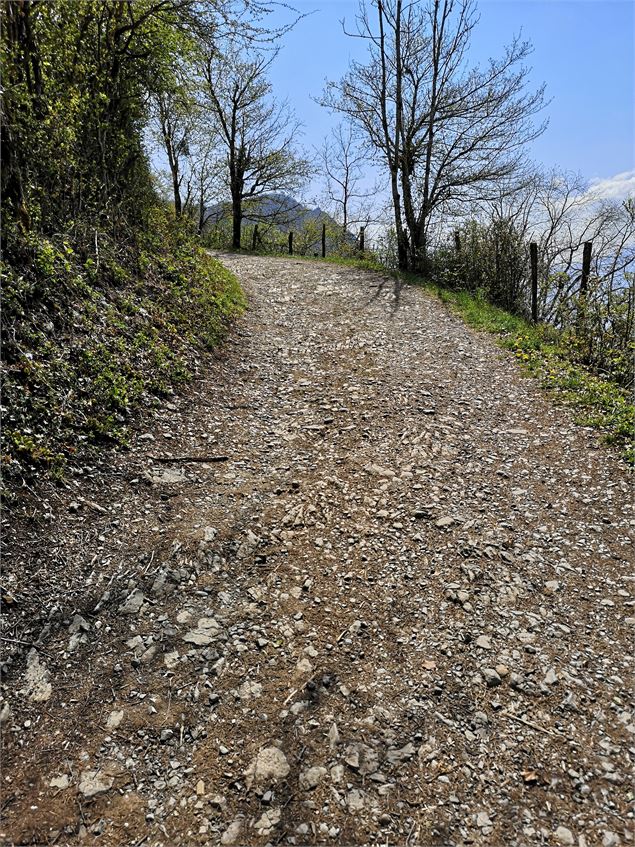 Les pelouses sèches du Mont Saint Michel - Grand Chambéry Alpes Tourisme