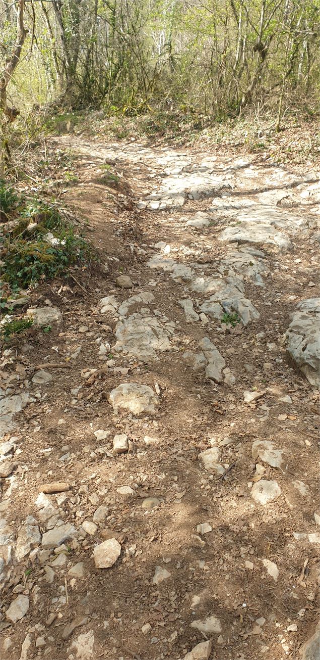 sentier - pauline guelle-germain