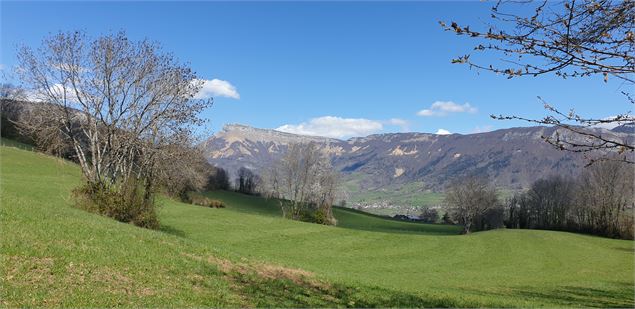 Prairies sous le mont Saint Michel - Pauline Guelle Germain