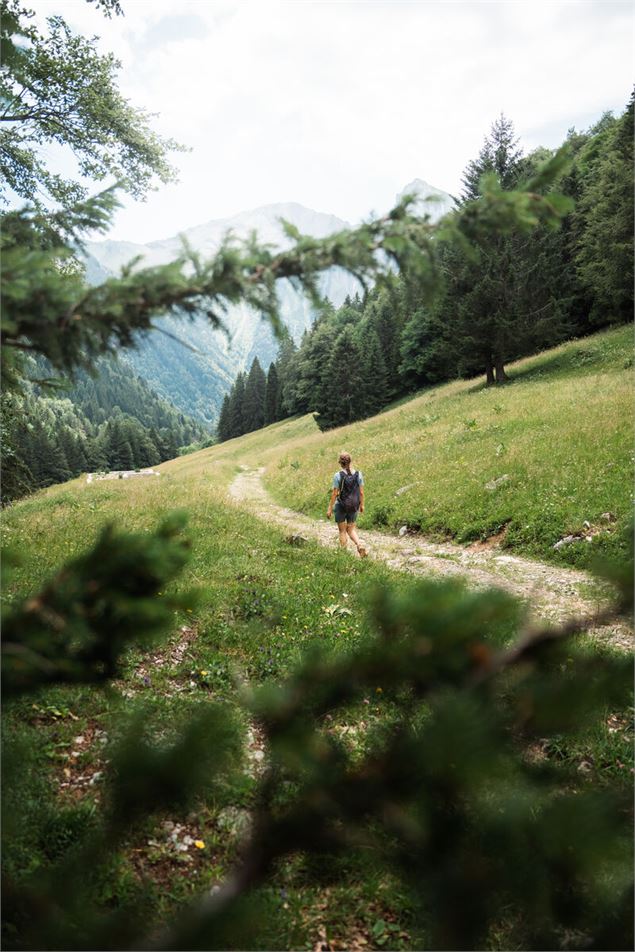 Foret du gros Fayard - GCAT