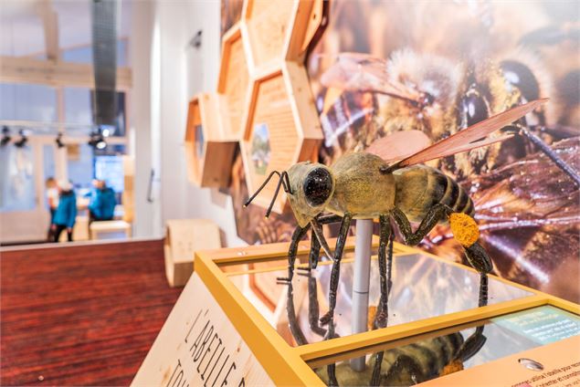 Jeu interactif - V. Lottenberg