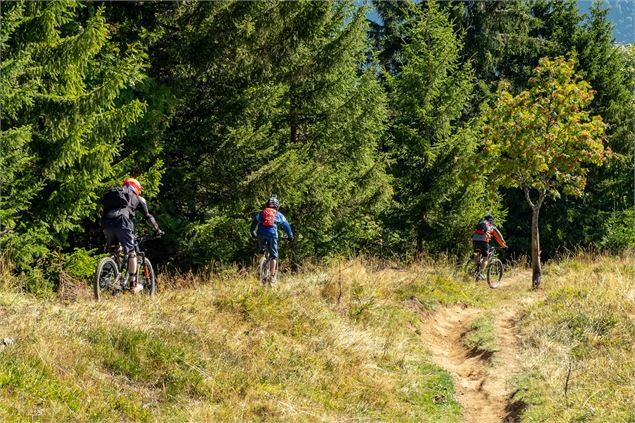 VTT dans la forêt - Christian Martelet