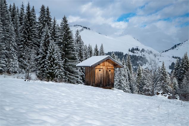 chalet et neige - OT Samoens - Mathilda Manzi