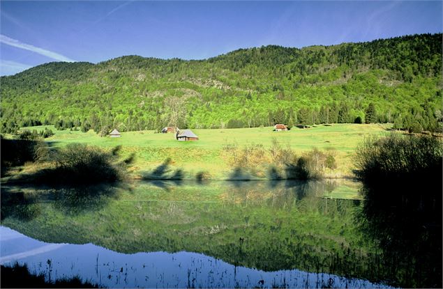 Etang du Mariet - OT Coeur des Bauges