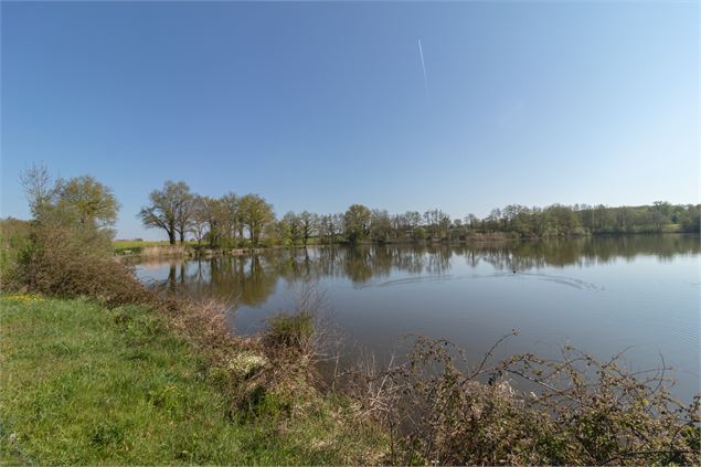 Etang de l'écluse - M Zeilfelder