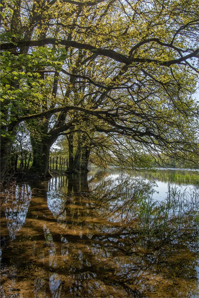 Etang Malepalud - M Zeilfelder