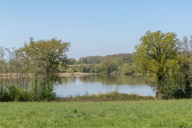 Etang de Chassagne - M Zeilfelder