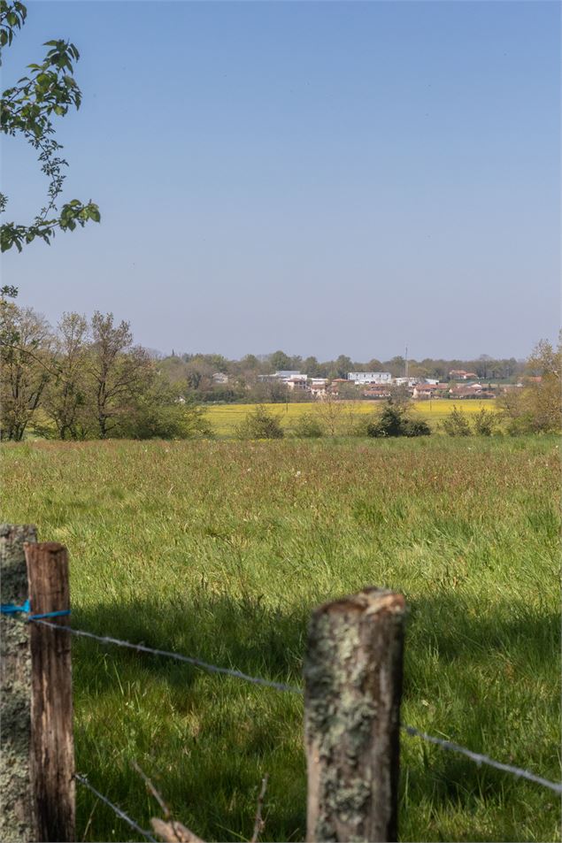 Champs - M Zeilfelder