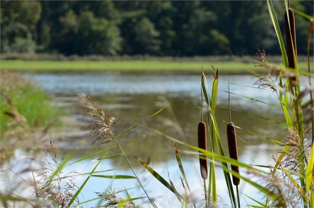 Saint Nizier le Désert - Pierre Jayet Photography