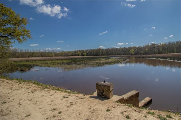 Etang de Vernange - Claire CURT