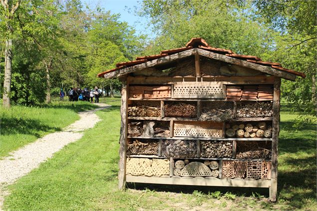 Arbre à insectes à l'arboretum - M. Zeilfelder