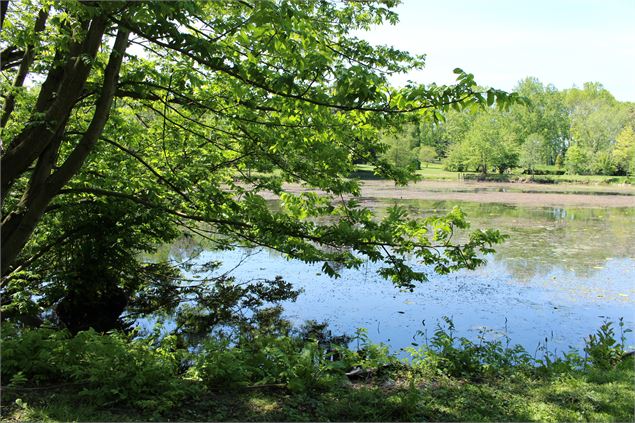 Etang de l'arboretum - M. Zeilfelder
