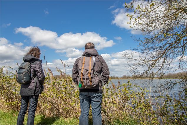 Observation des oiseaux au bord de l'étang du Grand Birieux - M. Zeilfelder