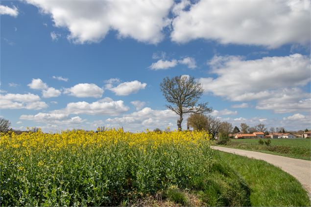 Vue sur le village de Birieux - M. Zeilfelder